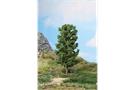 Heki H0 Buche 20 cm