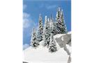 Heki H0/N Schneetannen 7-12 cm (Inhalt: 8 Stk.)