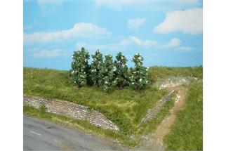 Heki H0/N/Z Birnbäume blühend 6 cm (Inhalt: 6 Stk.)