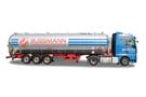 Herpa H0 MAN TGX GX ADR Saugsilo-Sattelzug, Bussmann (Sonderserie NRW)