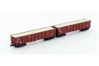 Hobbytrain N DB Wagenset Tamns 893, braun Minden-Siegen, 2-tlg