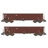 Hobbytrain N DB Wagenset Tamns 893, Logo braun, 2-tlg.