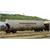 Lematec 1 SNCF Getreidesilowagen, TRANSCEREALES ERMEWA, Ep. IV
