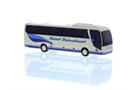 Rietze H0 MAN Lion's Coach '17, Peters Reisedienst