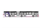 Rietze H0 MB Citaro G '15, Öffi's Nahverkehr Hameln-Pyrmont
