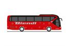 Rietze H0 Neoplan Tourliner 2016 Biendl Reisen Straubing