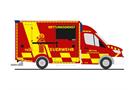 Rietze H0 WAS Design-RTW '18, Rettungsdienst Berufsfeuerwehr Trier