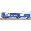 ACME H0 Ermewa Container-Doppeltragwagen Sggmrss, TAB Rail Road, Ep. VI