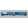 ACME H0 Ermewa Doppel-Containertragwagen Sggmrss 90', TAB Rail Road/Transalliance, Ep. VI