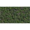 Busch Foliage Waldheidelbeeren, 190 x 250 mm