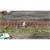 Heki Grasstreifen XL Sommer 10 mm, 10 cm (Inhalt: 8 Stk.)