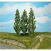 Heki H0 Pappeln 18 cm (Inhalt: 3 Stk.)