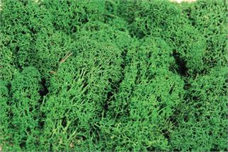 Heki Islandmoos dunkelgrün 250 g