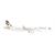 Herpa 1:500 Etihad Airways Airbus A321neo, 20th Anniversary, A6-AEN