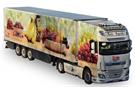 Herpa H0 DAF XF SSC facelift Kühlkoffer-Sattelzug Heide Logistik/Dole