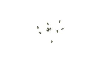 Märklin (ET) Zylinderschraube Blech 2,2 x 5 (Inhalt: 10 Stk.)