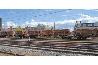 NMJ H0 Railcare/THREE T Holztransportwagen Sgs 33 74 454 0 210-6 mit Holzbeladung