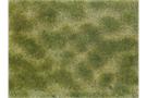 Noch Bodendecker-Foliage grün/beige, 12 x 18 cm