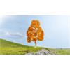 Noch Master-Baum Birke, herbstlich, 21 cm
