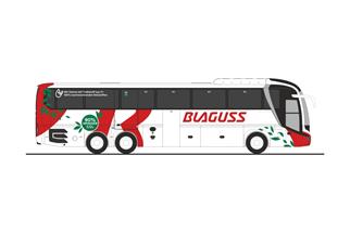 Rietze H0 MAN Lion's Coach L '17, Blaguss