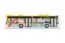 Rietze H0 MB Citaro '15, WestVerkehr Geilenkirchen - Pride Bus