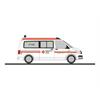 Rietze H0 VW T6, DRK KV Calw