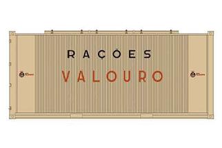 Sudexpress H0 20'-Container Racoes Valouro, 70er-Jahre