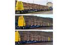 Sudexpress H0 Innofreight Container-Doppeltragwagen-Set Sggmrrs 90', Ep. VI, 3-tlg.