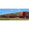 Sudexpress N Ibercargo Container-Doppeltragwagen Sggmrrs, Smart GigaWood, Ep. VI